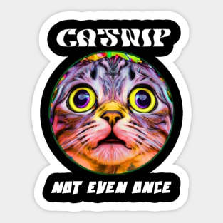 Catnip - Not even once Sticker